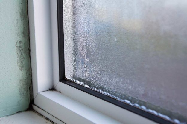 looking at windows in your house and wondering do I need new windows