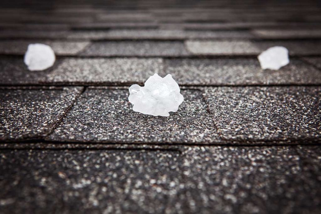 piece of hail on a hail damaged roof