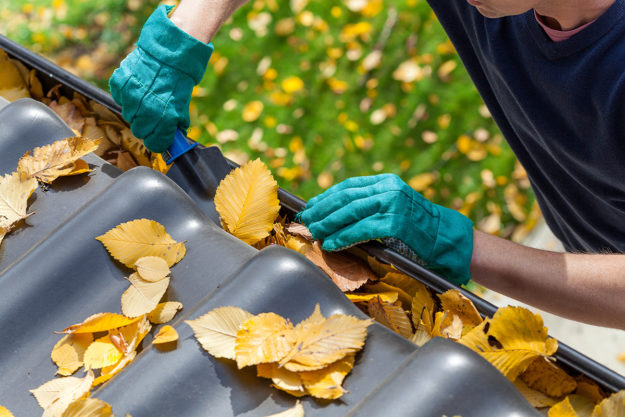 person cleaning leaves out of gutter showing the Importance of Rain Gutter Repair