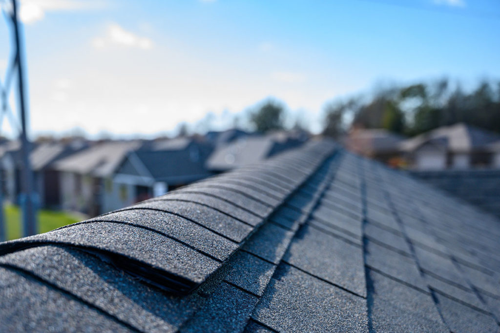 shingles on roof making you wonder Do I Need a New Roof