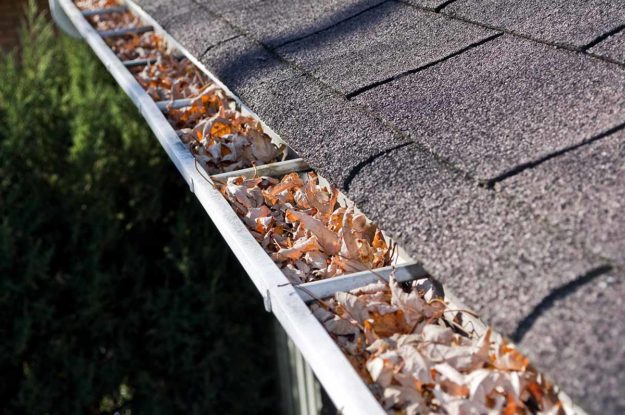Fall leaves cause of 5 signs of clogged rain gutters