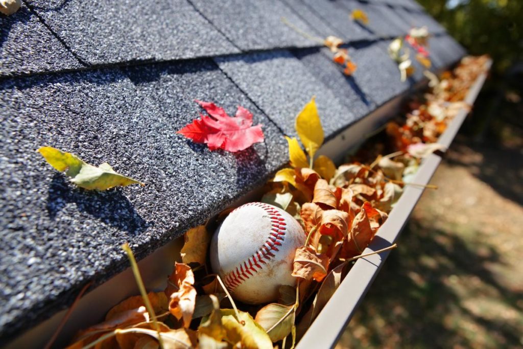 gutters filled with debris