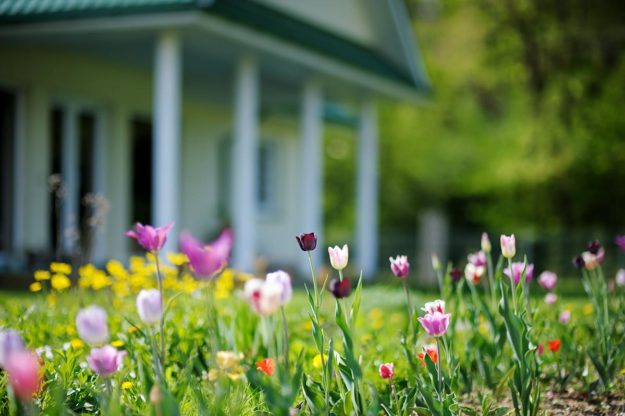 preparing your home for spring