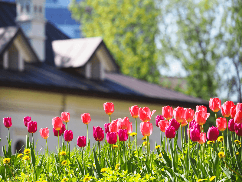 Roof Tune-Ups: Why Spring Is the Best Time to Schedule One