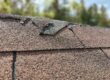 Damaged roof shingles that are easy to overlook