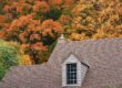 Newly installed brown shingle roof with autumn color trees in background.
