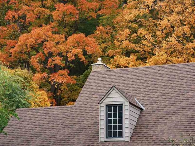 fall-roof-replacement Newly installed brown shingle roof with autumn color trees in background.