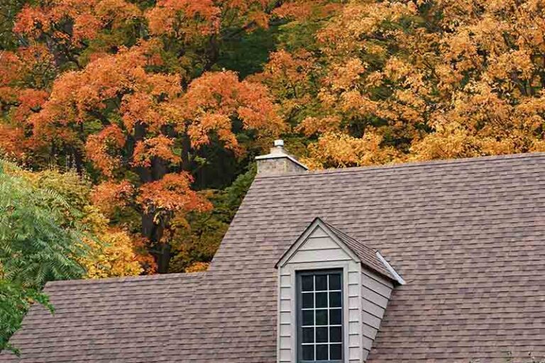 Newly installed brown shingle roof with autumn color trees in background.
